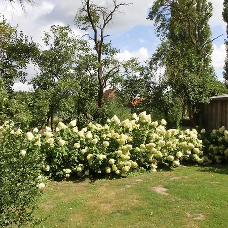 Grosszuegiges Tiny House Holiday home Sumte