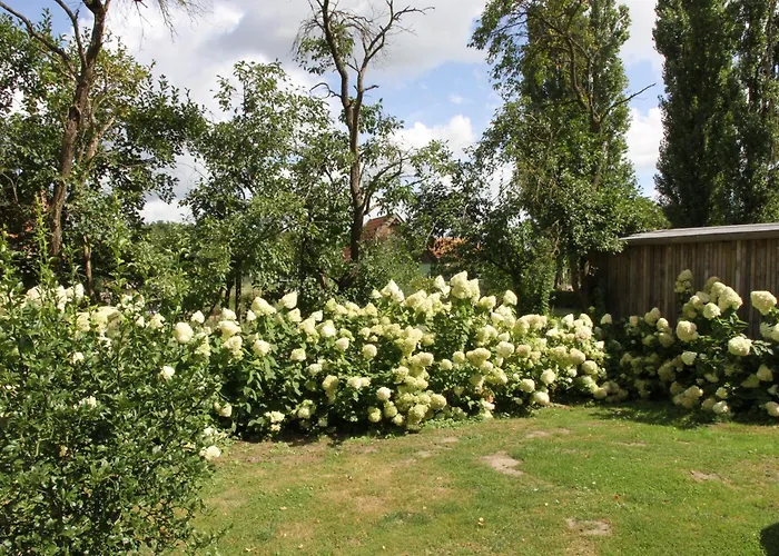 Großzügiges Tiny House Ferienhaus Sumte